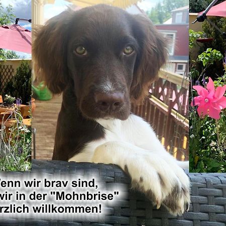Ferienwohnung Mohnbrise Germerode 外观 照片