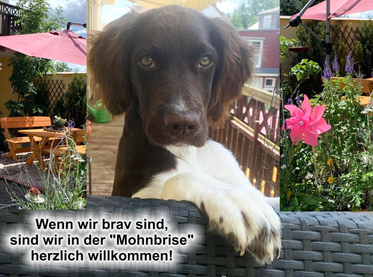 Ferienwohnung Mohnbrise Germerode 外观 照片